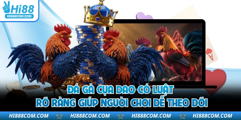Đá gà cựa dao có luật rõ ràng giúp người chơi dễ theo dõi