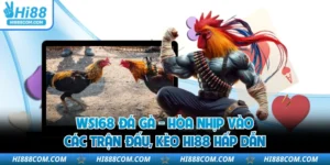 WS168 Đá Gà - Hòa Nhịp Vào Các Trận Đấu, Kèo HI88 Hấp Dẫn